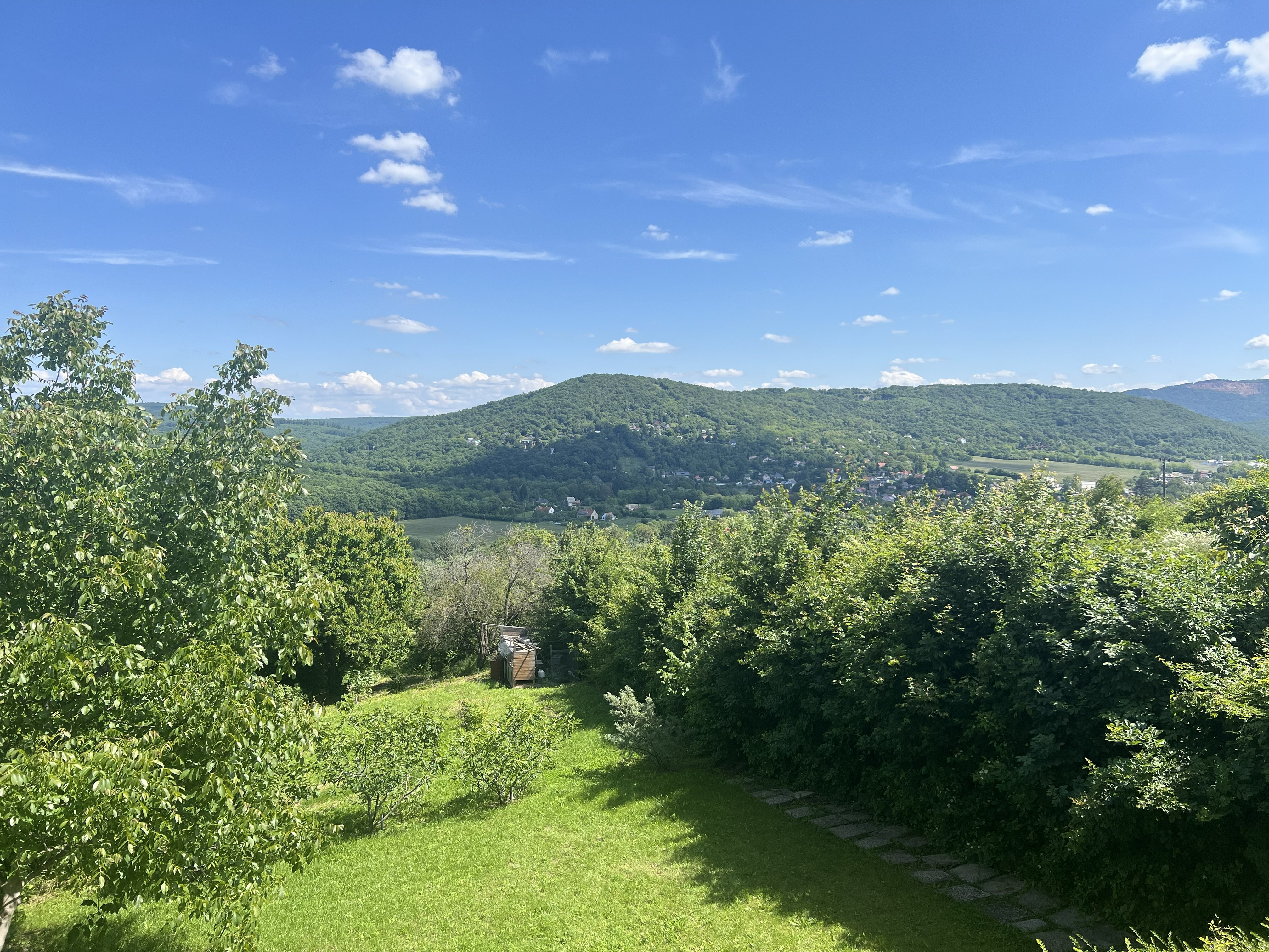 Peaceful & Mesmerizing Views